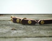 Leather Cat Collar in Dark Brown with Brass