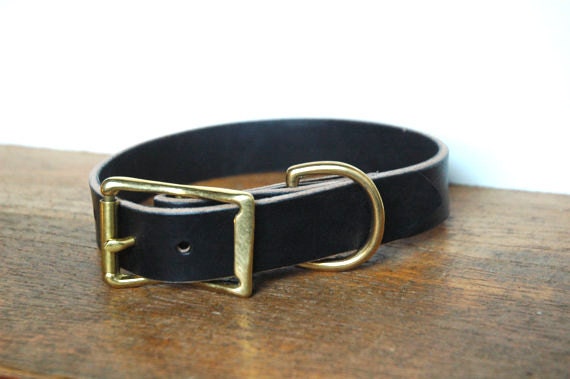Heavy Duty Custom Dog Collar in Dark Brown