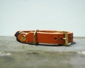 Leather Cat Collar in Honey with Brass