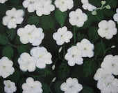 White Impatiens 2 original painting