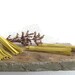 Yellow leather tassels