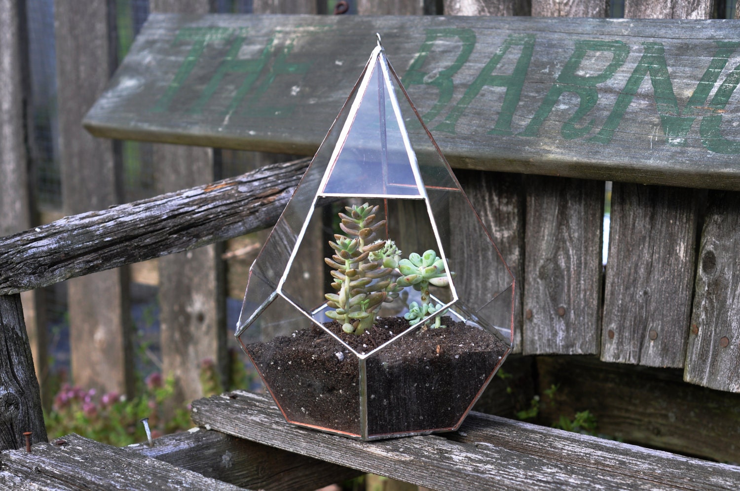 Teardrop Terrarium Kit, large teardrop glass terrarium -- hanging or sitting -- stained glass -- copper or silver color -- eco friendly