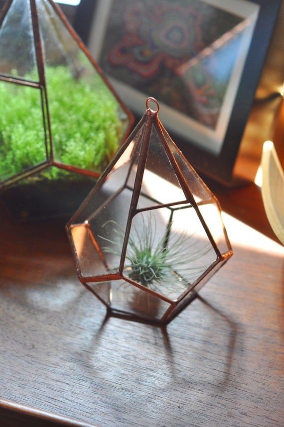 Hanging Teardrop Glass Terrarium -- for air plant terrarium or small succulent -- stained glass -- terrarium supplies -- eco friendly