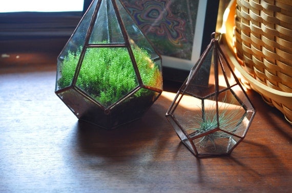 Hanging Teardrop Glass Terrarium -- for air plant terrarium or small succulent -- stained glass -- terrarium supplies -- eco friendly