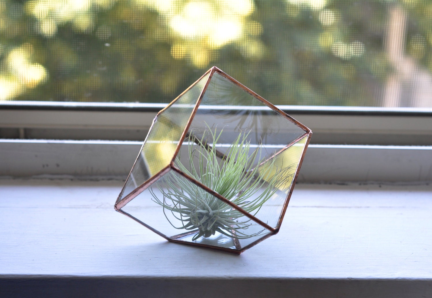 Earth Terrarium Kit, small cube glass planter in copper or silver color -- stained glass -- terrarium supplies -- eco friendly