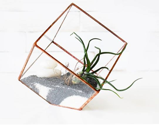 Earth Terrarium Kit, medium cube glass planter in copper or silver color -- stained glass -- terrarium supplies -- eco friendly