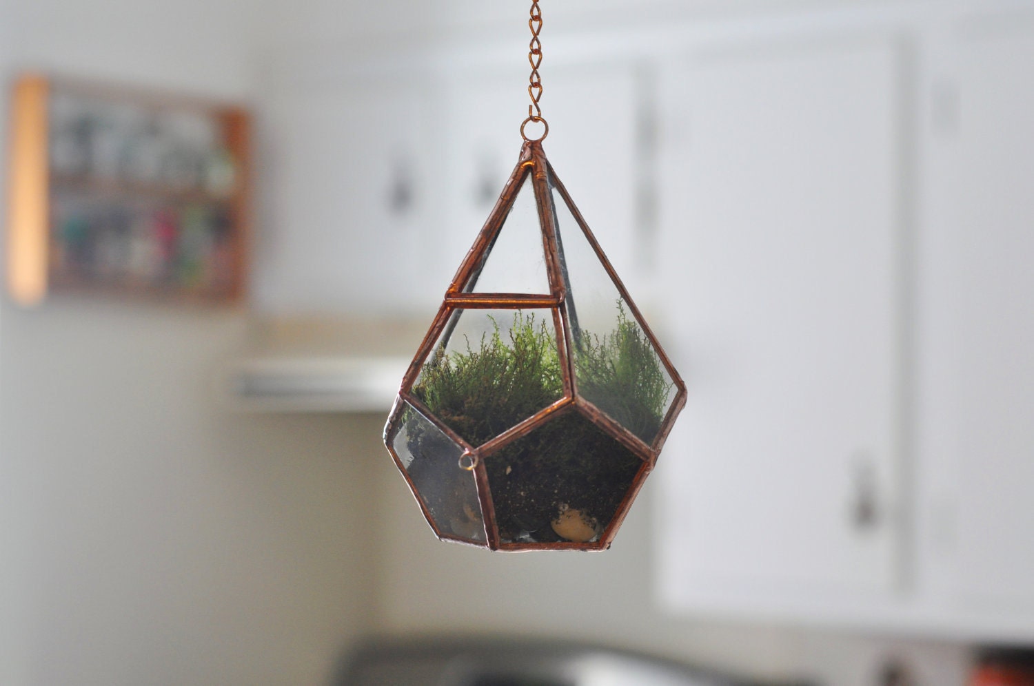 Hanging Teardrop Glass Terrarium with Door -- moss terrarium -- stained glass terrarium -- terrarium supplies -- eco friendly