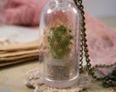 1 Pc REAL CACTUS PLANT Red orange terrarium apothecary terrarium supplies Necklace Chain Included Woodland