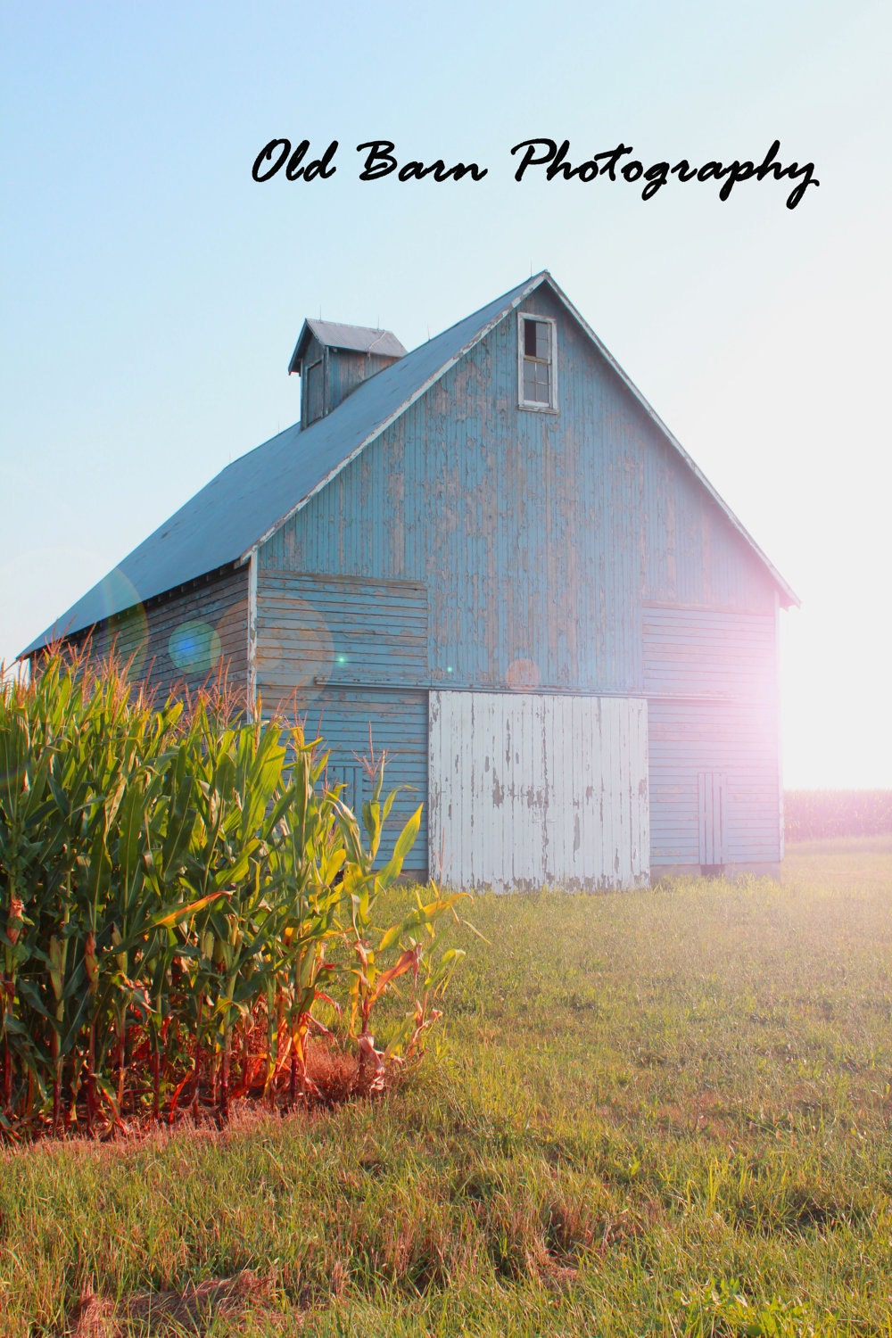 Blue Barn- 11x14