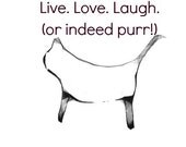 The Wisdom of Cats EBook