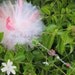 Custom Princess Fairy Wand