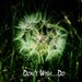 Dandelion Seed Head - Single Dandelion Photo - 5X5 Print