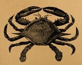 Crab Digital Image Download Sheet Transfer To Pillows T-Shirt Towels Burlap Bag, Item A0260