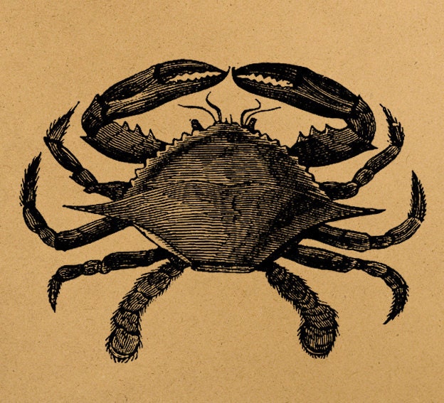 Crab Digital Image Download Sheet Transfer To Pillows T-Shirt Towels Burlap Bag, Item A0260