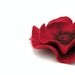 Felted flower brooch pin - red flower - felt flower - ready to ship - floral jewelry - spring