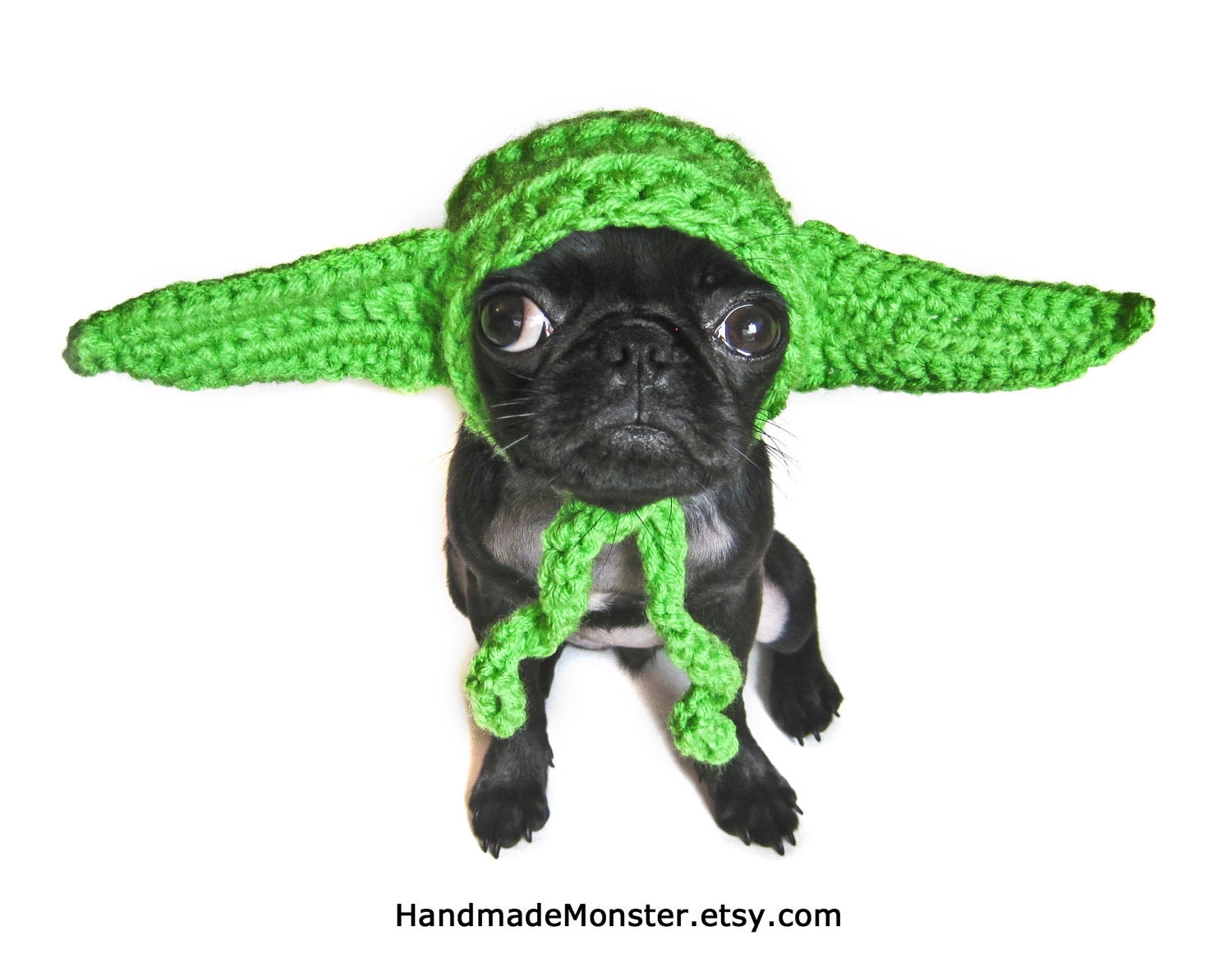 STAR WARS DOG hat costume yoda inspired pet geekery nerdy costumes jedi photo photography prop mashable