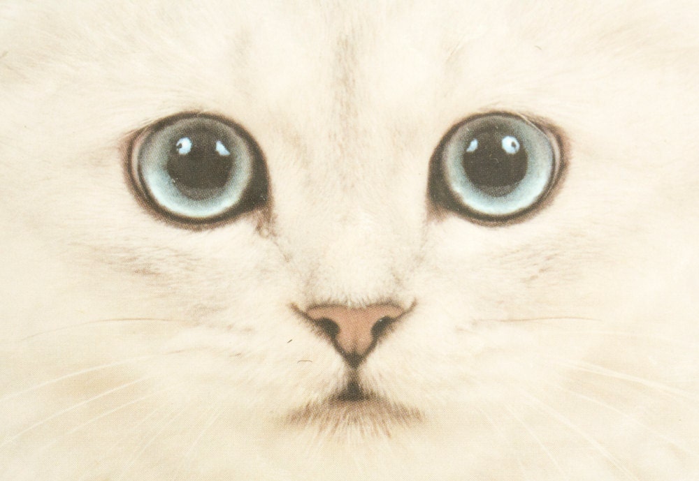 Super Cute Cat Tile / Hipster Kitsch Home Decor Vintage White