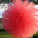 Tulle pom poms....  set of 15 for nurseries