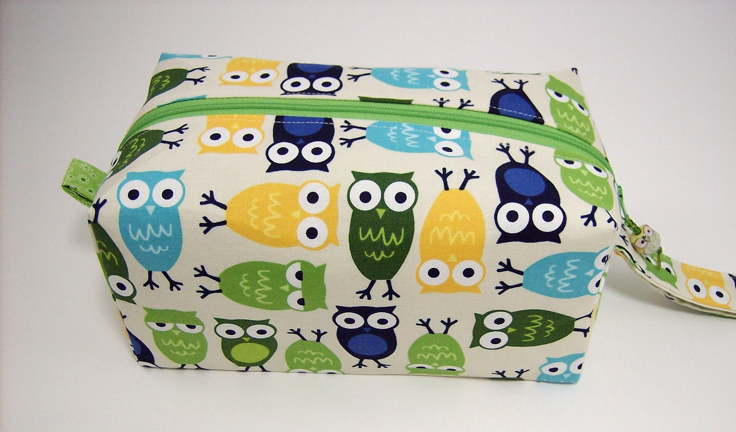 Small Zippered Project Bag - Green and Blue Owl Toss
