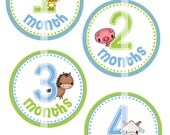 DIY Printable Monthly Iron On Transfer - Down On the Farm - Digital Images for Onesies or Bibs - INSTANT DOWNLOAD