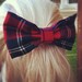 Big kilt hair bow