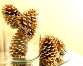 Festive Gold Pine Cones
