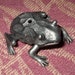 Reserved for Janneke Vintage Torino Frog Trinket Box with Frog Necklace