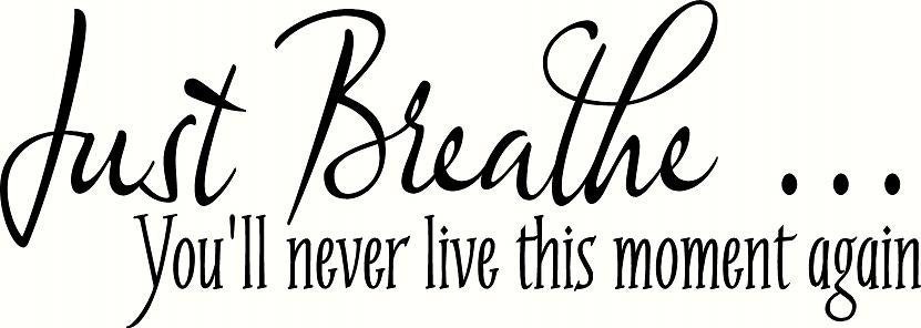 vinyl wall decal quote Just breathe... you'll never live this moment again