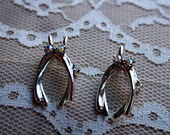Unique Wish Bone Earrings or Brooches