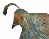 Quail Bird Print Teal and Brown from my Original Watercolor Painting