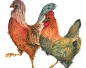 Dancing Chickens - Archival Print from Original Watercolor