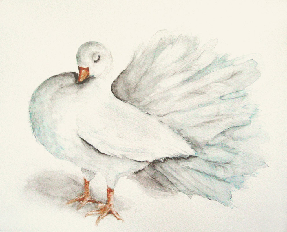 White Bird Painting - Original Watercolor - Fantail Pigeon - Wedding Gift