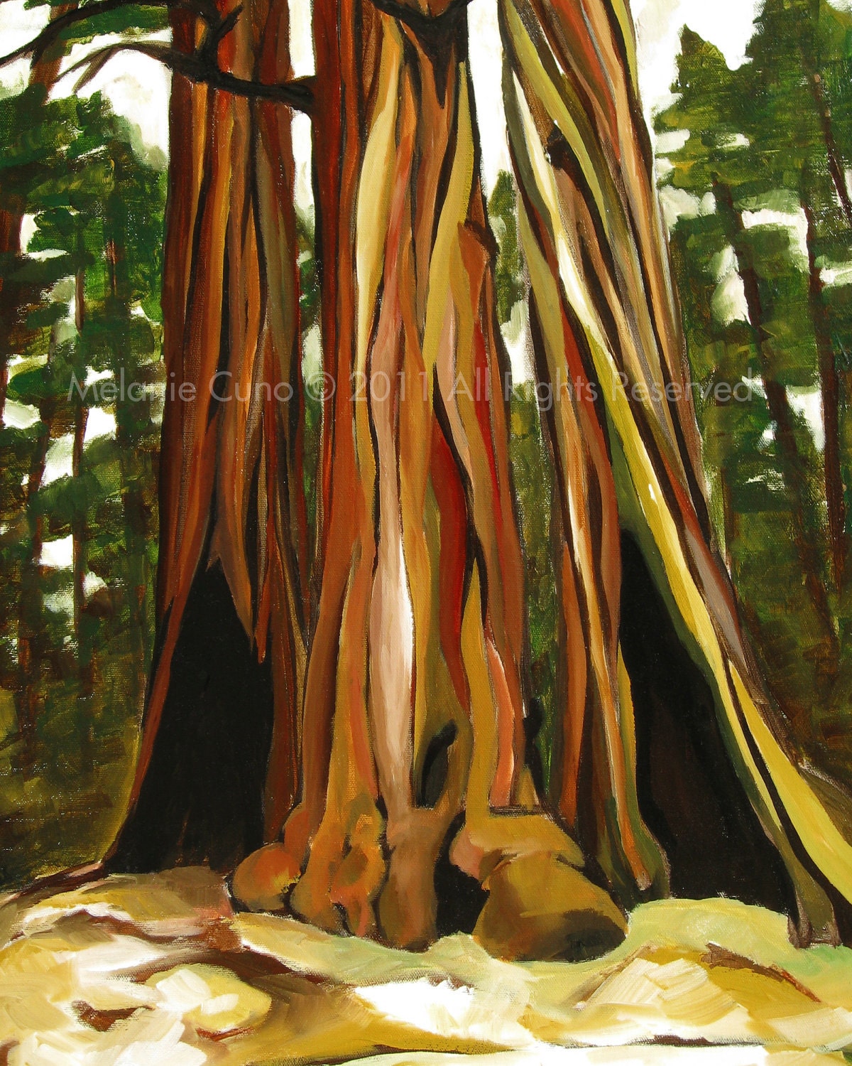 Redwood Trees- giclee print of original acrylic painting 8"x10"
