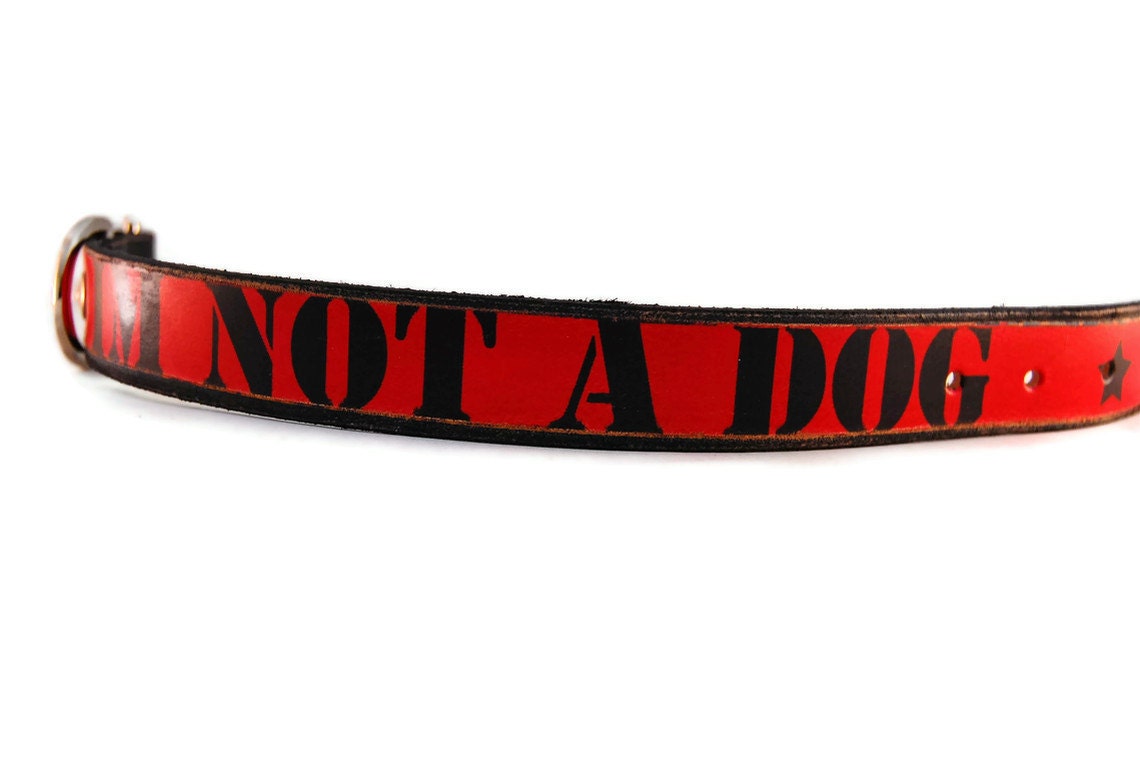 Leather dog collar / 1 inch - IM NOT A DOG