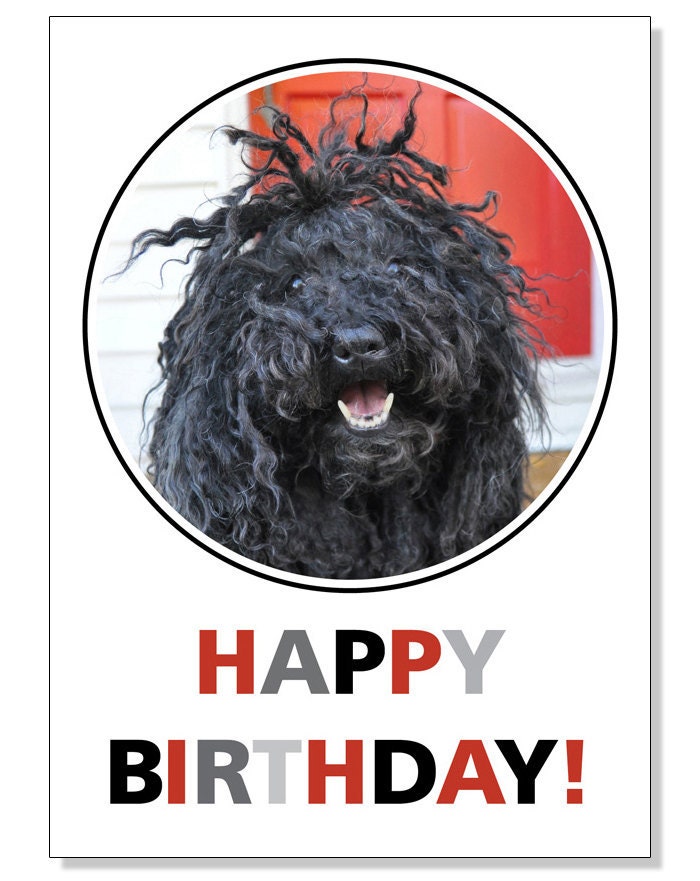 Puli Dog Birthday Cards - set of 3