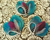 Three CHLOE Turquoise and Purple Peacock Feather Hair Clips