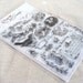 Acrylic Stamps - Crafty Secrets - Clear Art Stamps - Fairyland