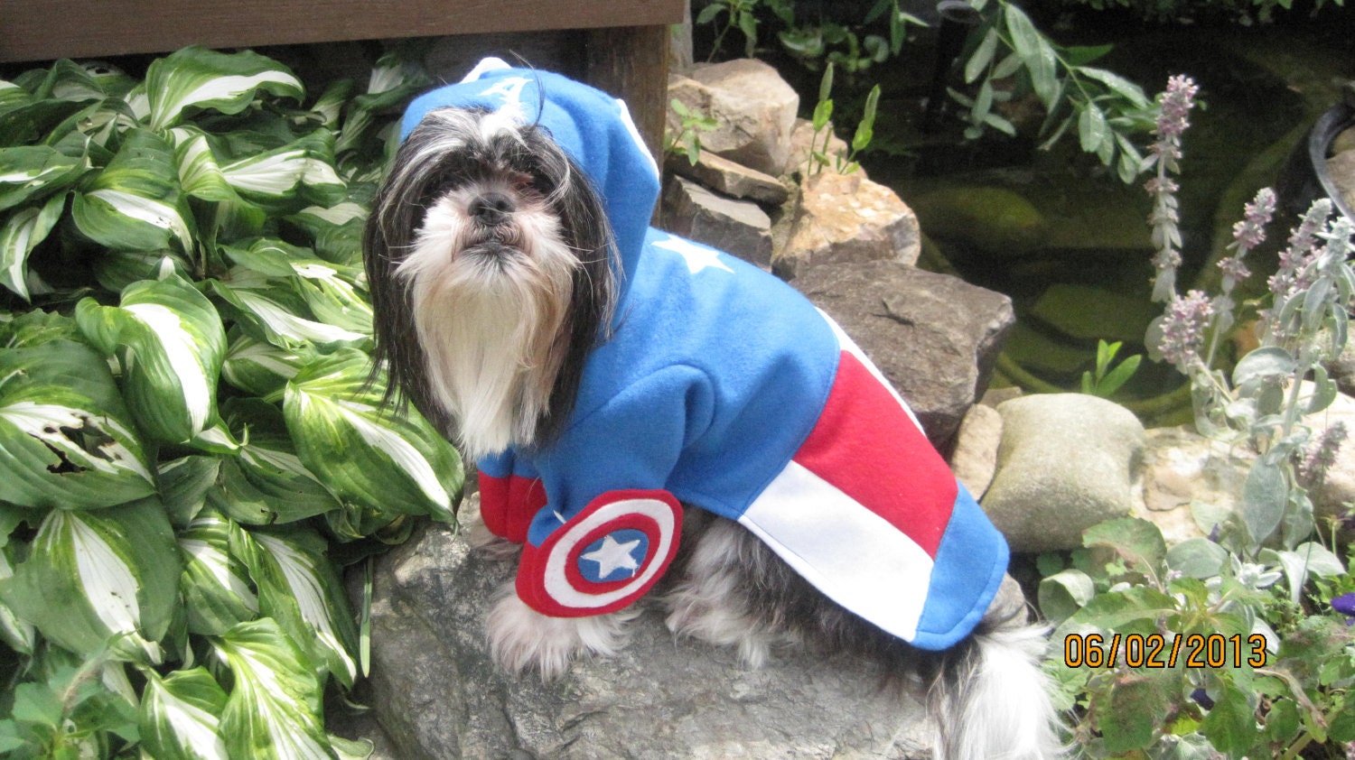 First Avengers Super Hero Captain America Dog Costume size Large