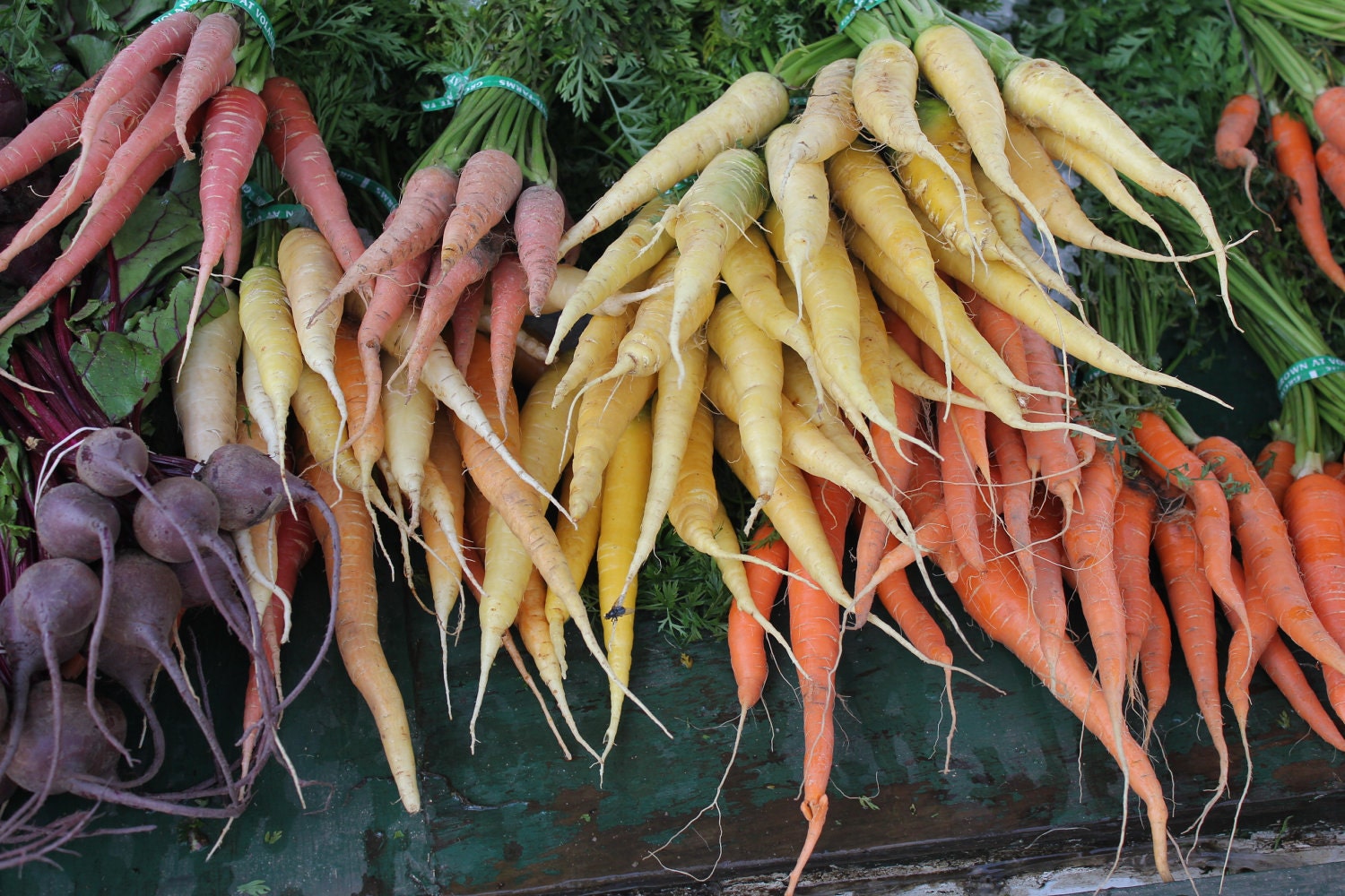 The Harvest