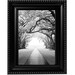 Fine Art Photography Print- Oak Alley- 8x10