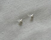 Make a wish silver plated tiny lucky bird earrings