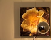 Wall Lamp, Retro Flower Photo Plaque - Silver-Coated Bulb