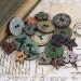 Nature Garden Wood Buttons scrapbook embellishment set by Prima Marketing