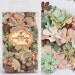 Fairy Belle Essentials Petals Mulberry Paper Flowers by Prima Marketing