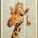 Animal Art Print - Giraffe with giraffe earring - Mixed Media Vintage Dictionary art print, Dictionary print, ORIGINAL ARTWORK hand painted