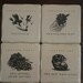 Stone Drink Tile Coaster Harry Potter Book Page Pictures Upcycled