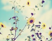 Flower Photography - fine art photography yellow sunflowers pastel blue sky clouds 8x10 photograph original photo prints wall art