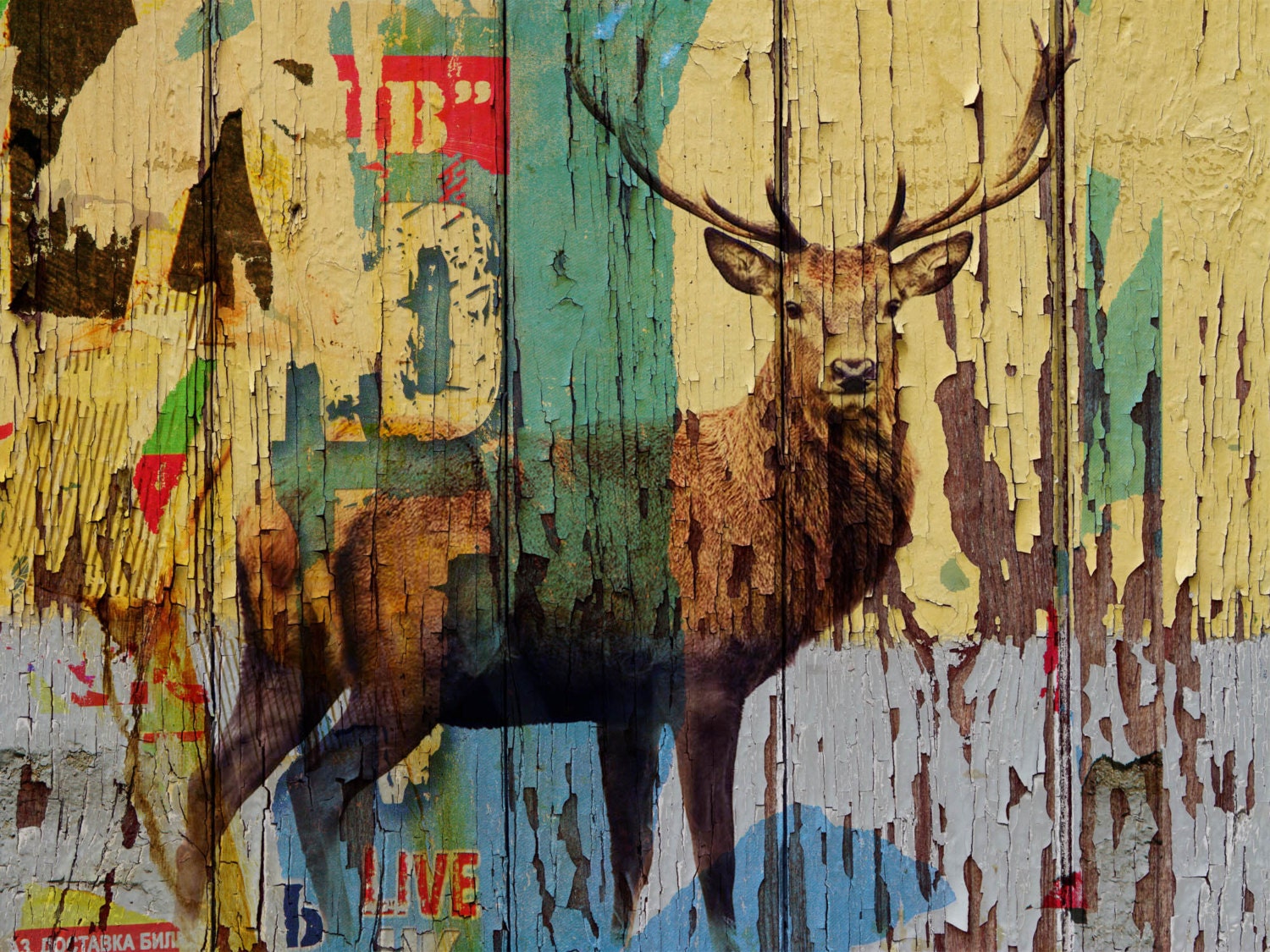 Deer. Canvas Print by Irena Orlov 30x40"
