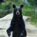 Black Bear in a Forest- Original Acrylic Painting- White Rock Stone- Green Trees- Fine Art Painting