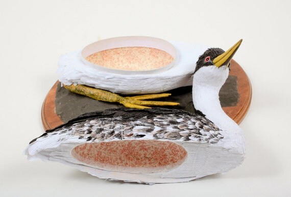 Western Grebe --Aechmophorus occidentalis 2010 (Bird contains hidden box)